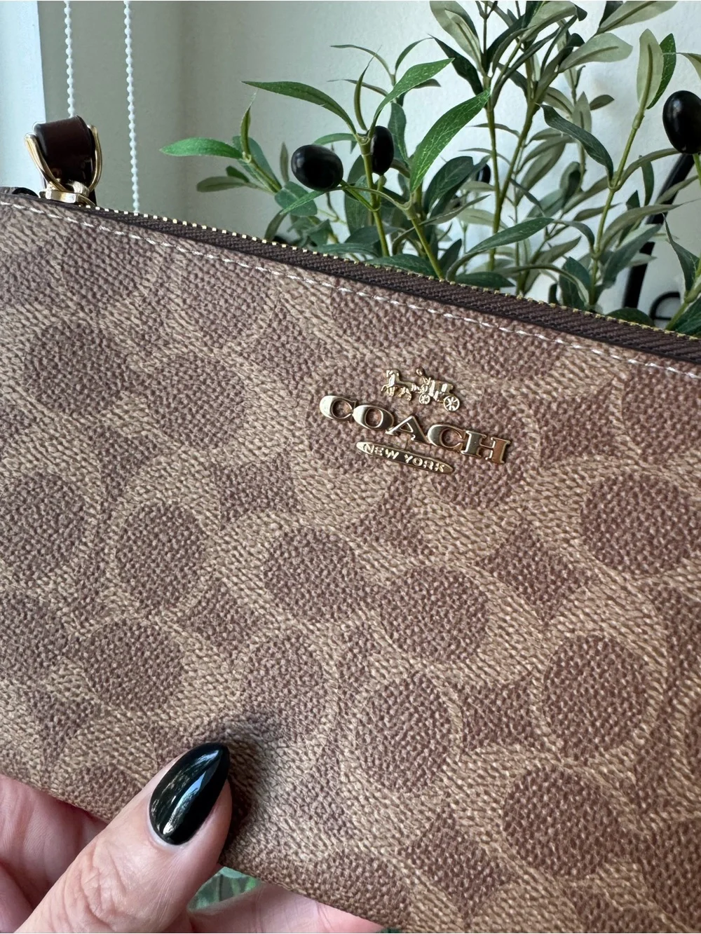 Coach Tan/Brown Large Corner Zip Wristlet In Signature Canvas